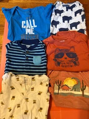 12 months. 4 long sleeve and 2 short sleeve.